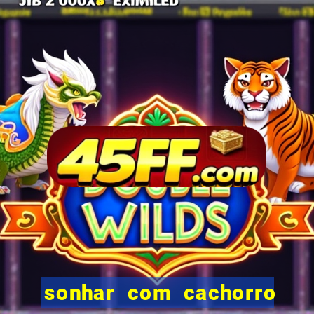 sonhar com cachorro sem cabeca